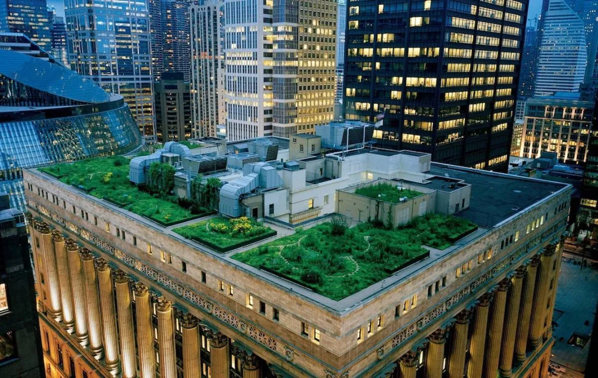 روف گاردن یک آسمانخراش