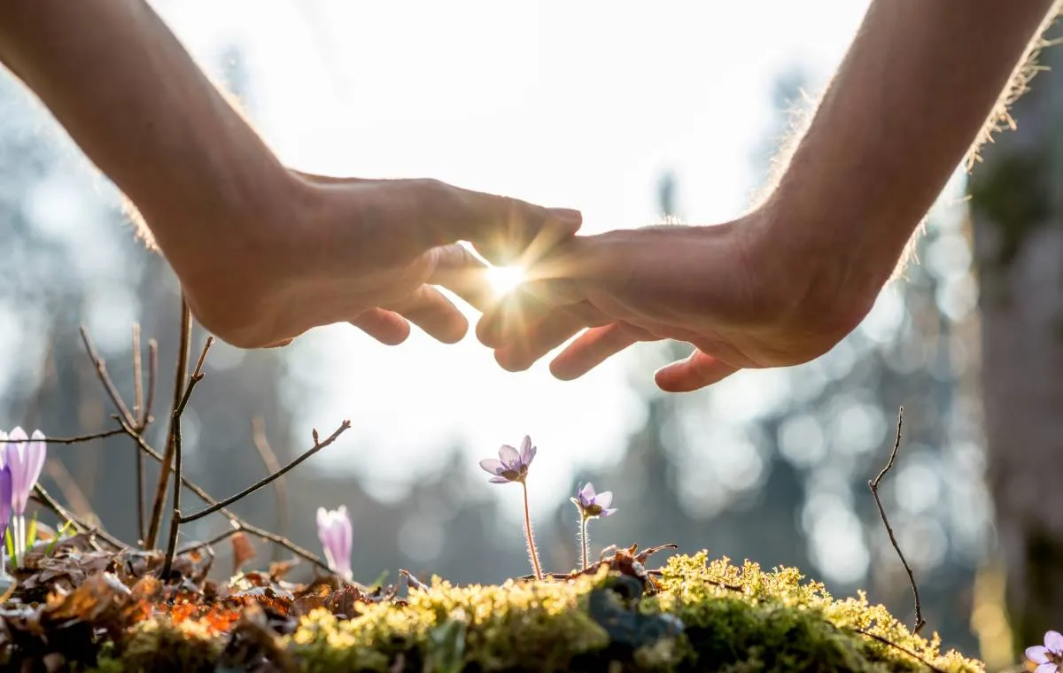 زندگی به سبک دوستدارن محیط زیست