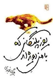 یوزپلنگ‌هایی که با من دویده‌اند رمان معاصر فارسی