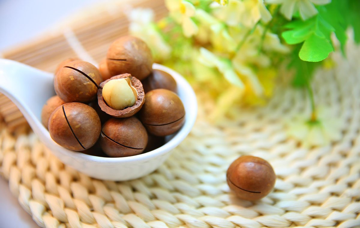 ماکادمیا چیست