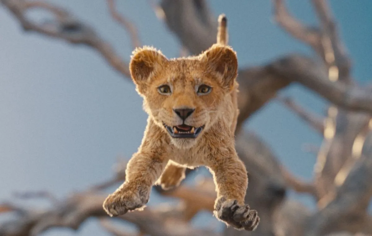 موفاسا شیرشاه