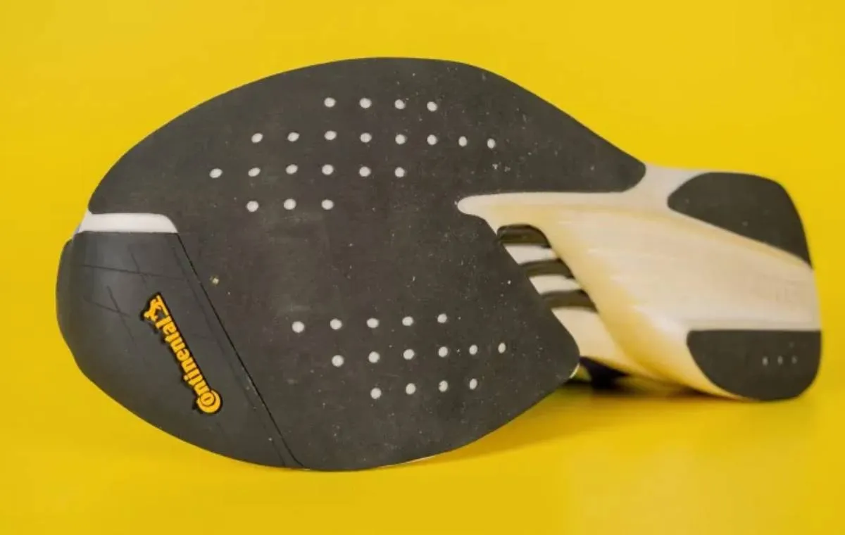 گونه‌های مختلف زیره‌ی کفش