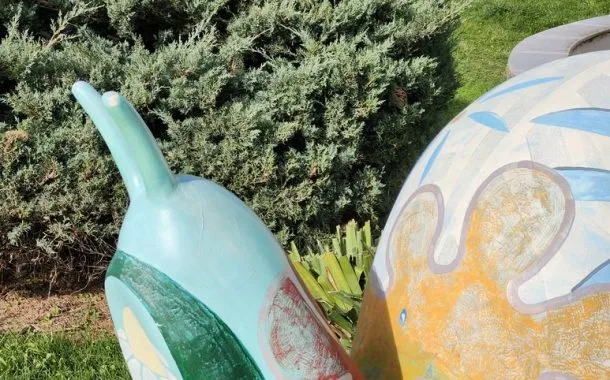 مقایسه گلکسی S23 FE با شیائومی 13T 26