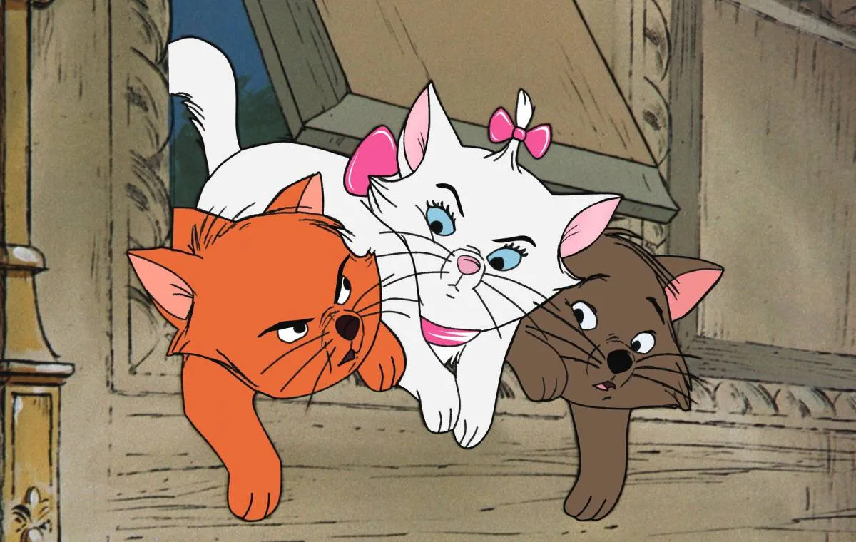 گربههای اشرافی