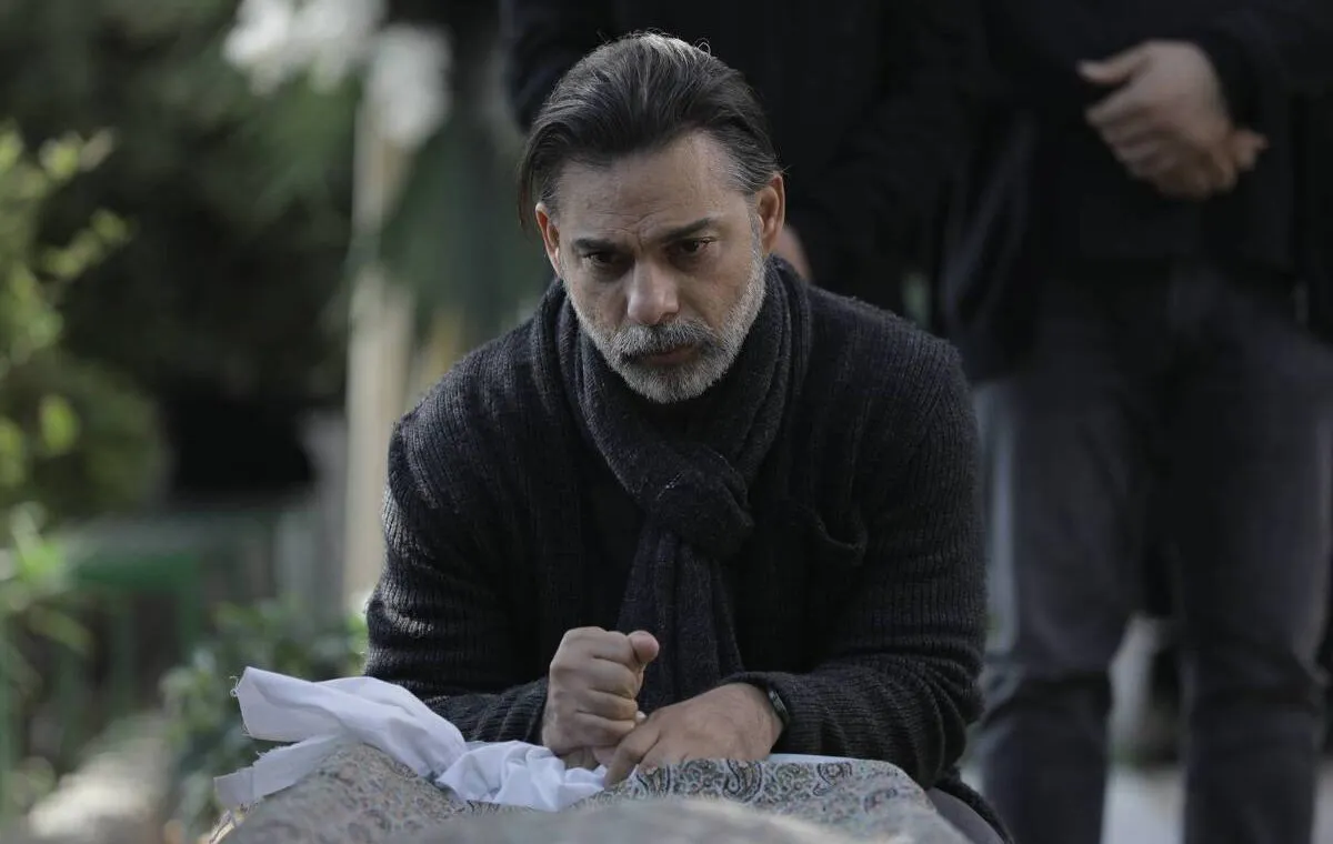 پیمان معادی