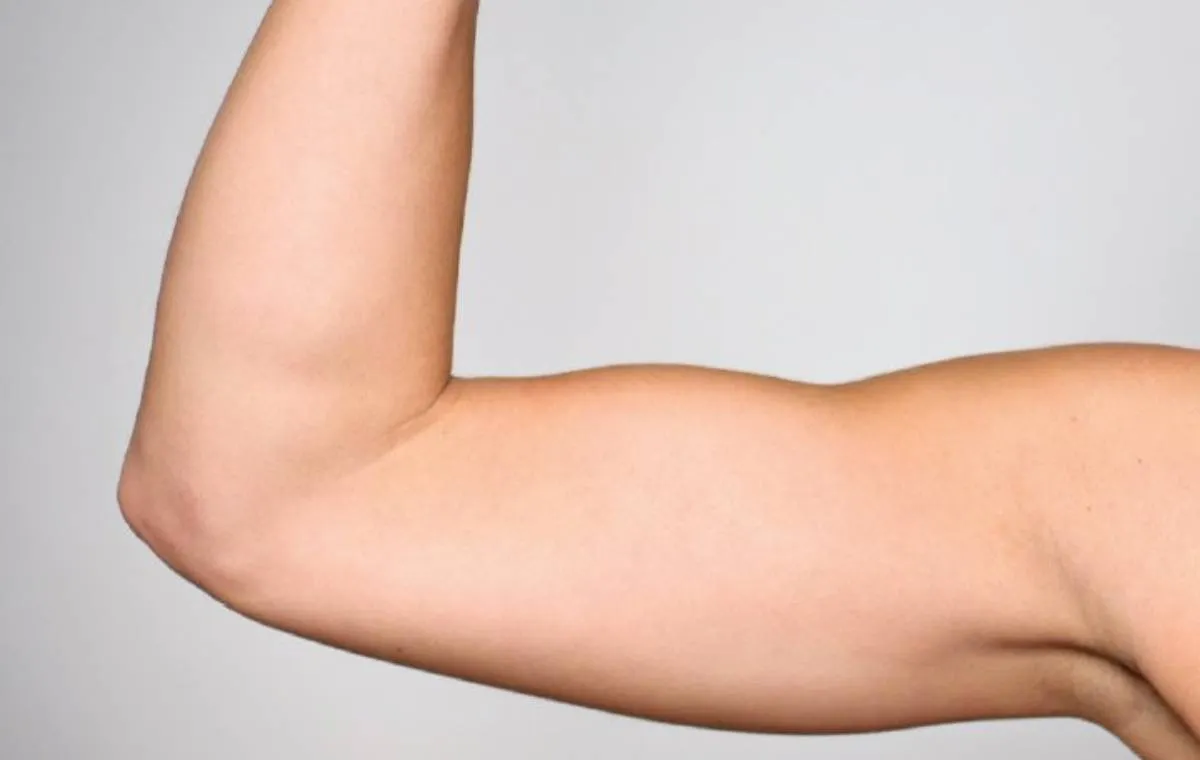 نمایی از ماهیچه بازوی انسان