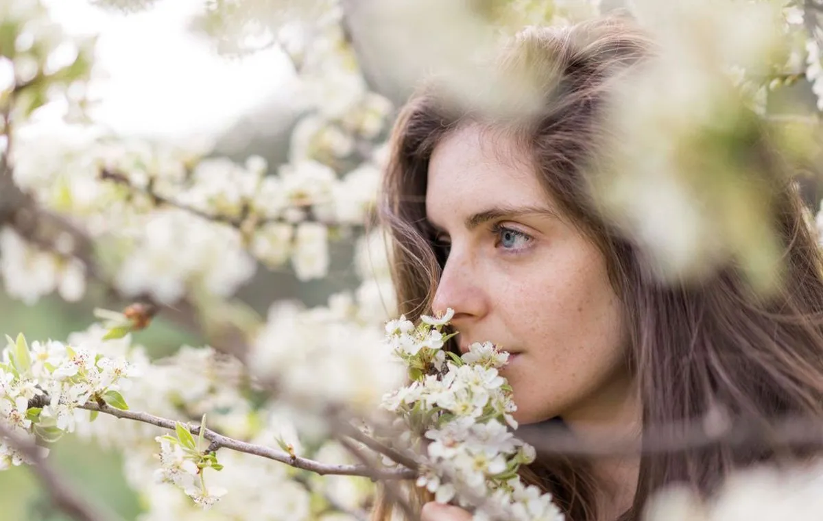 نحوه‌ی استفاده