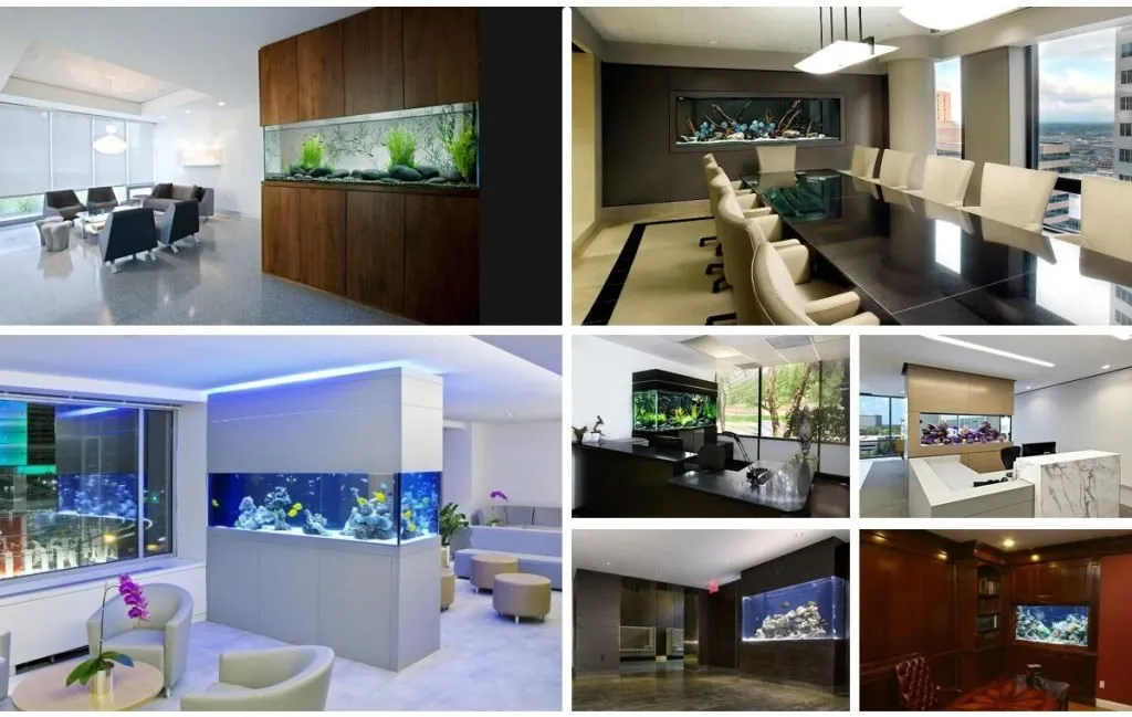 اکواریوم را در کجای خانه قرار دهیم؟
