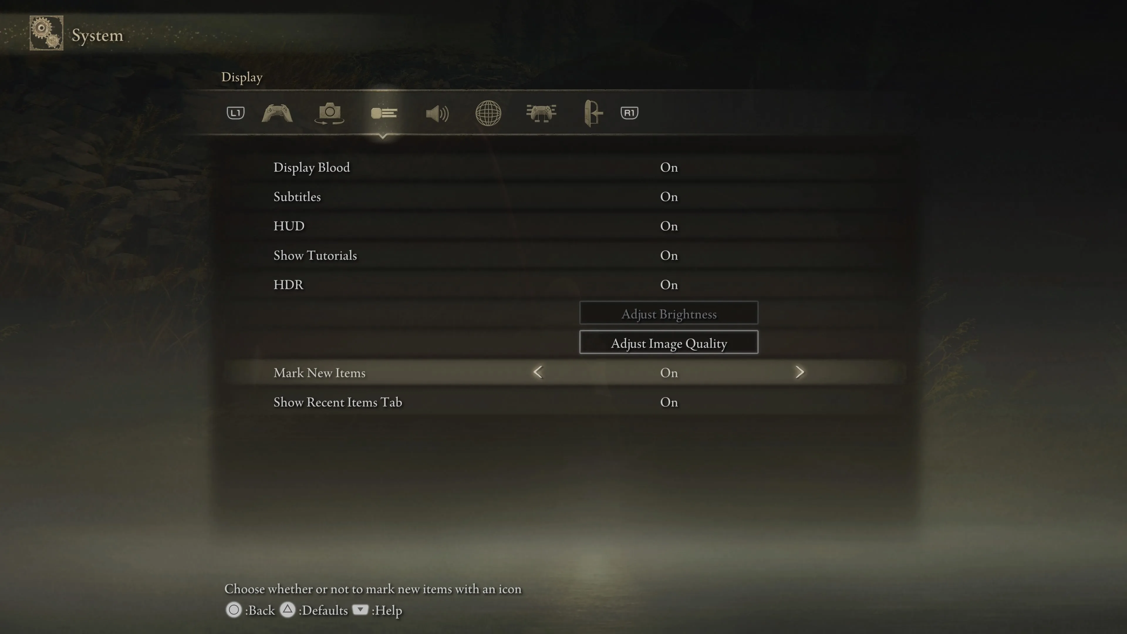 بسته الحاقی الدن رینگ