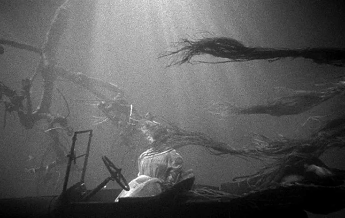 10 فیلم به توصیه ویلیام فریدکین شب شکارچی