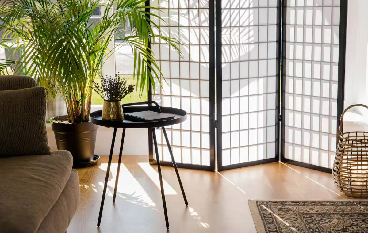 پارتیشن در اتاق پذیرایی