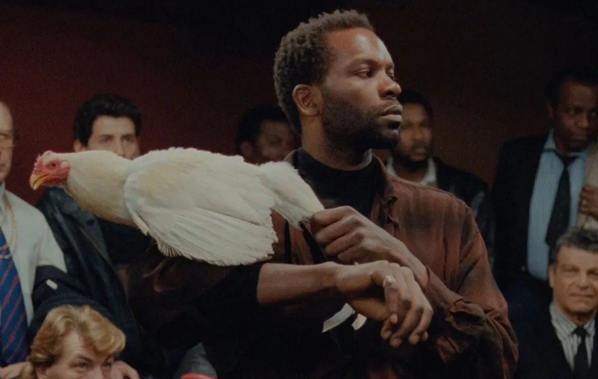 بهترین فیلمهای کلر دنی