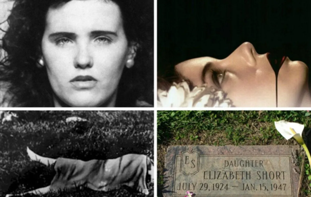 دالیای سیاه