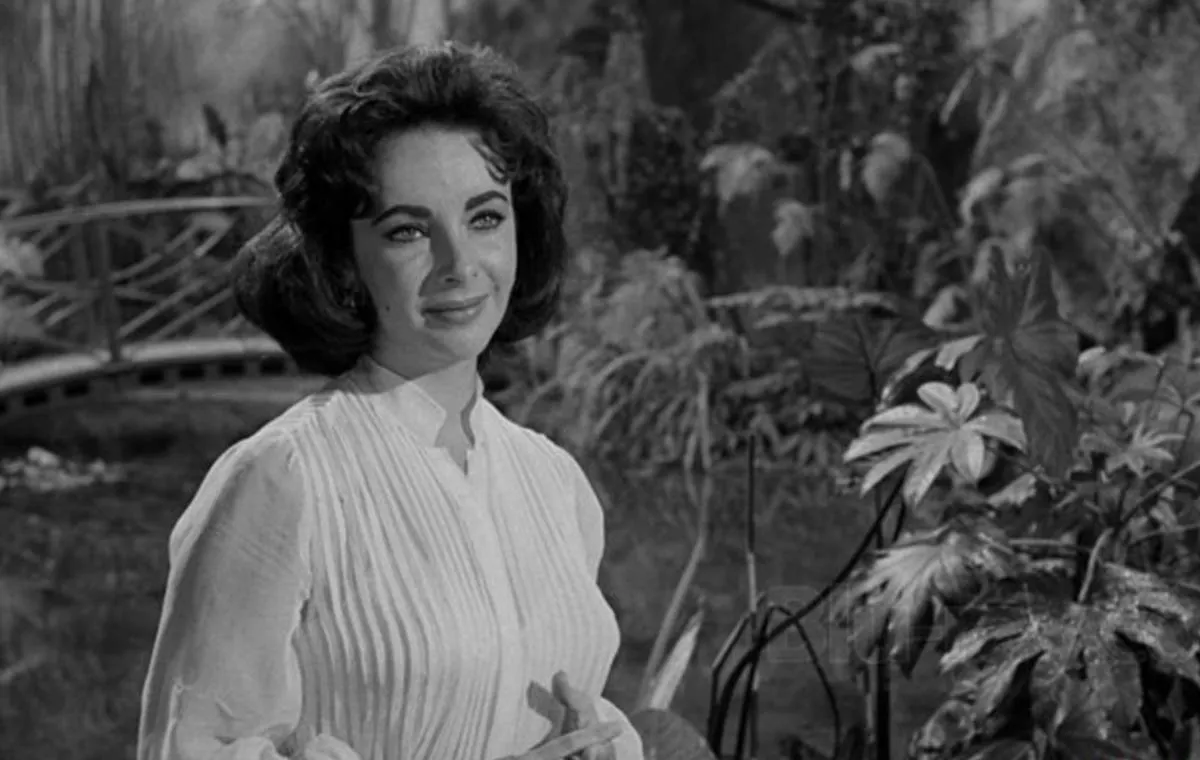 Suddenly, Last Summer