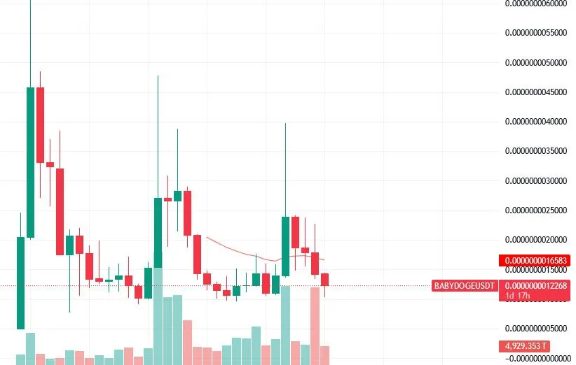 قیمت الان ارز بیبی دوج