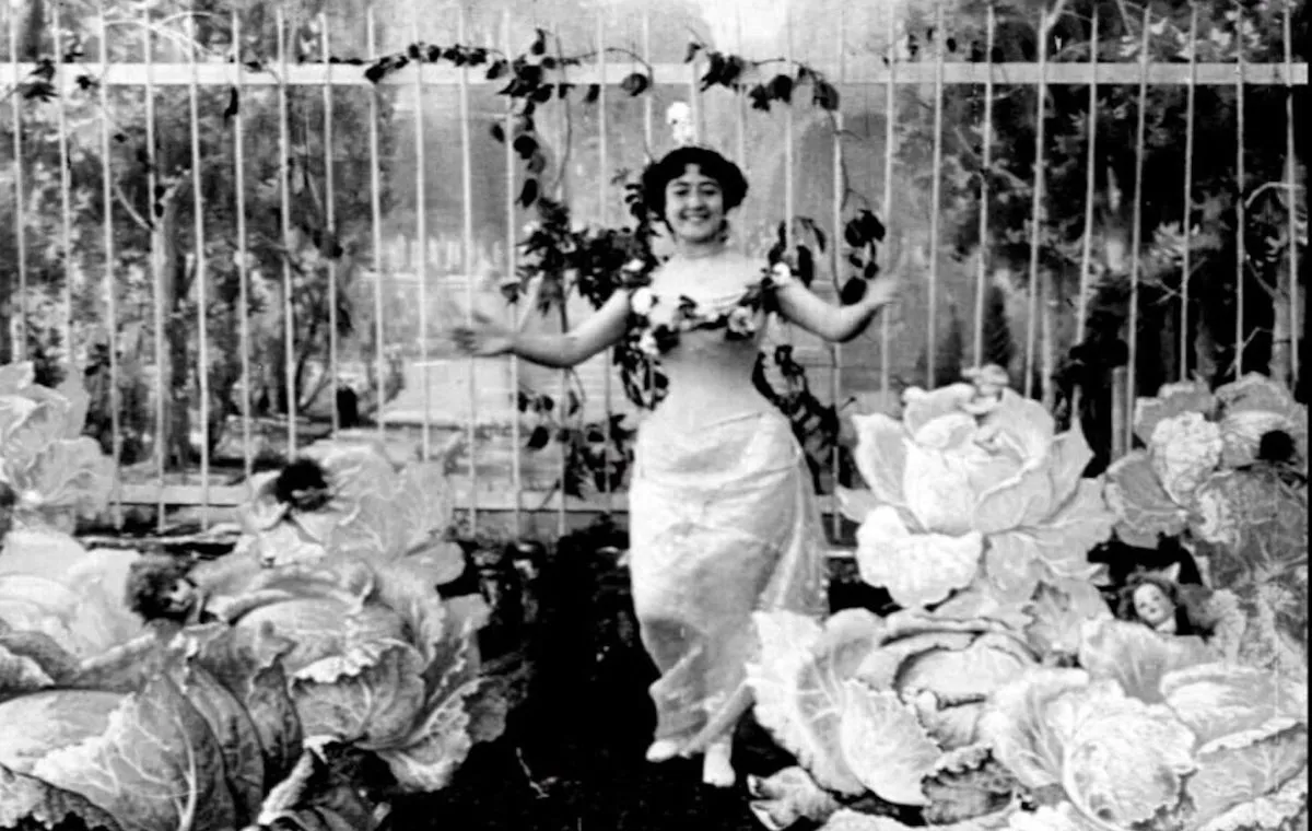 افسانه‌ی کلم