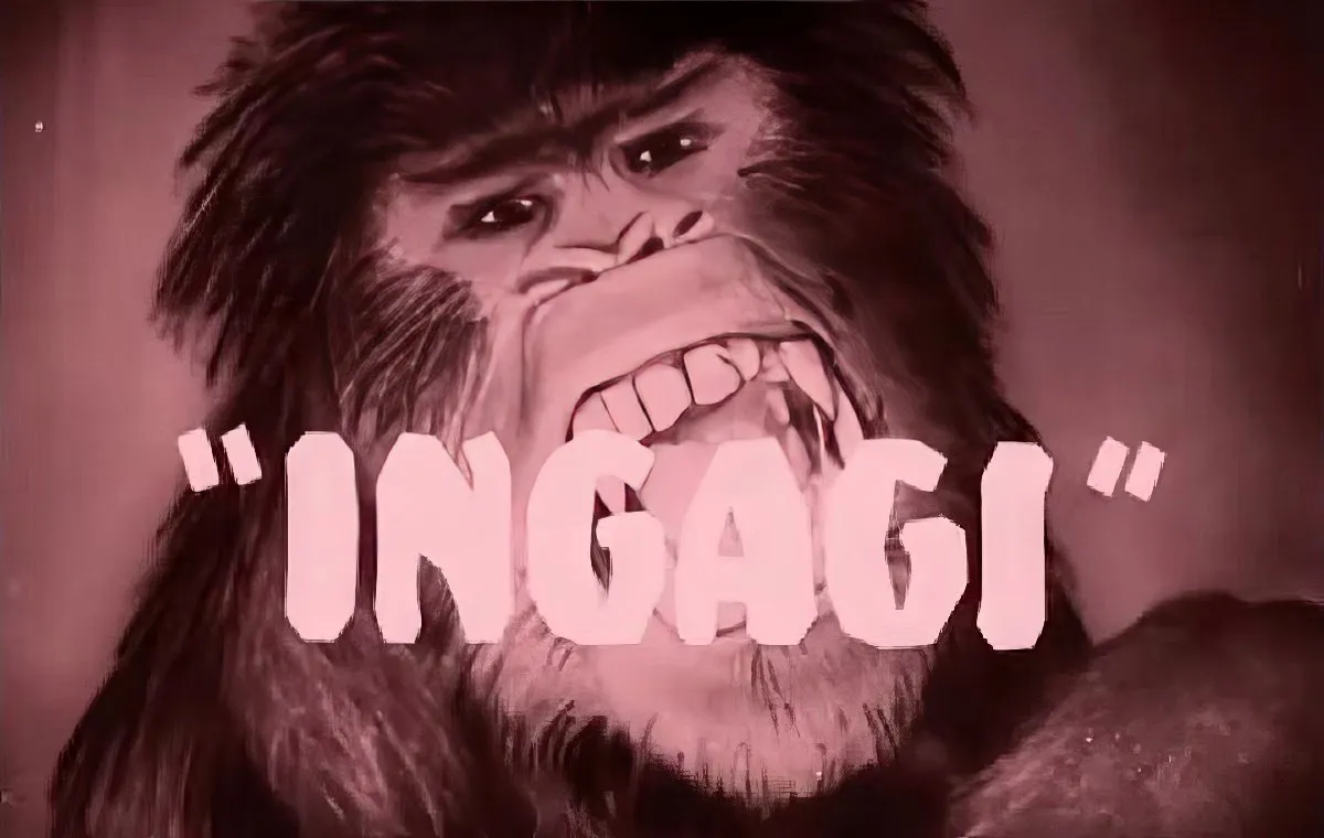 فیلم درباره میمون‌ها