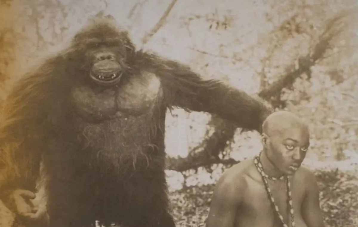 فیلم درباره میمون‌ها