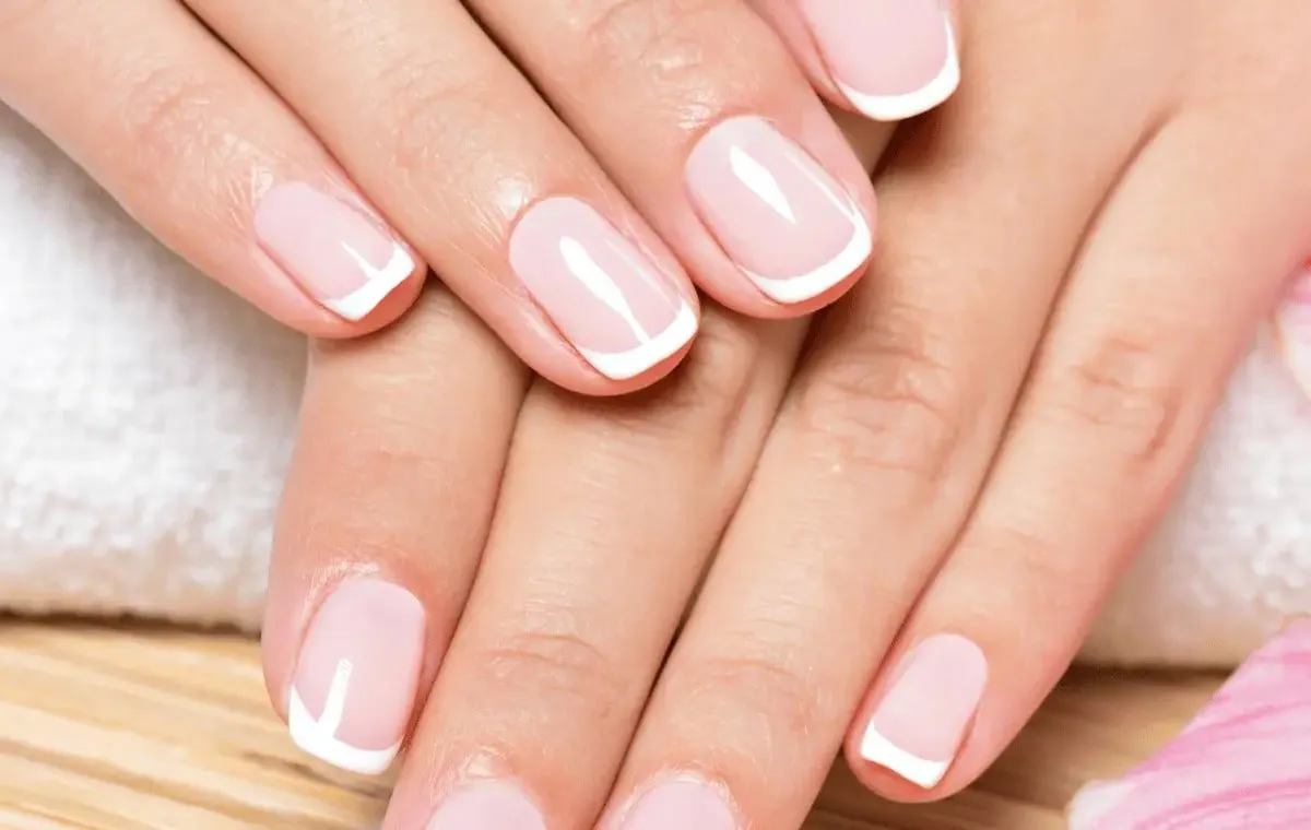 اسم انواع مدل ناخن