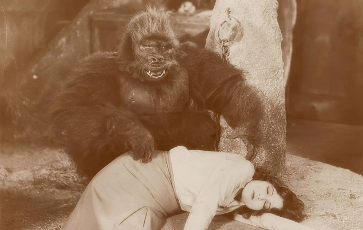 فیلم درباره میمون‌ها