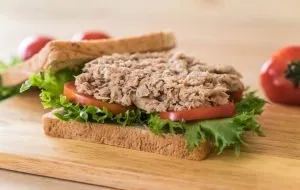 طرز تهیه تست تن ماهی و پنیر؛ ساده، سریع، خوشمزه