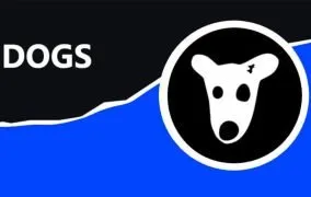 توکن داگز لیست