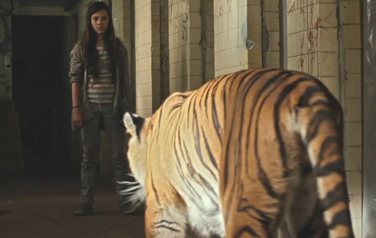 ببرها نمی‌ترسند