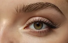 کاشت مژه‌ی گربه‌ای چیست؟