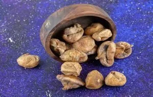 ۱۴ خاصیت انجیر خشک برای سلامتی شما