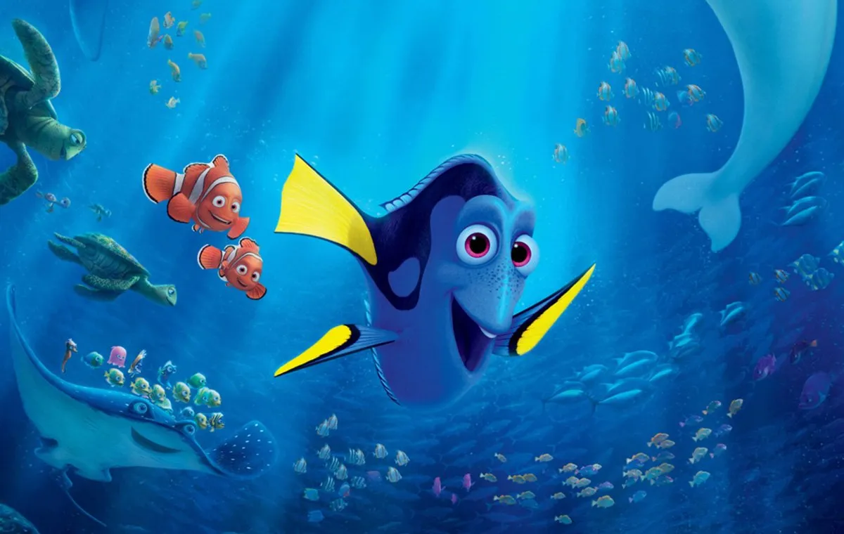 در جستوجوی دوری