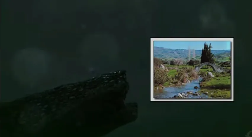 متال گیر سالید ۵ 