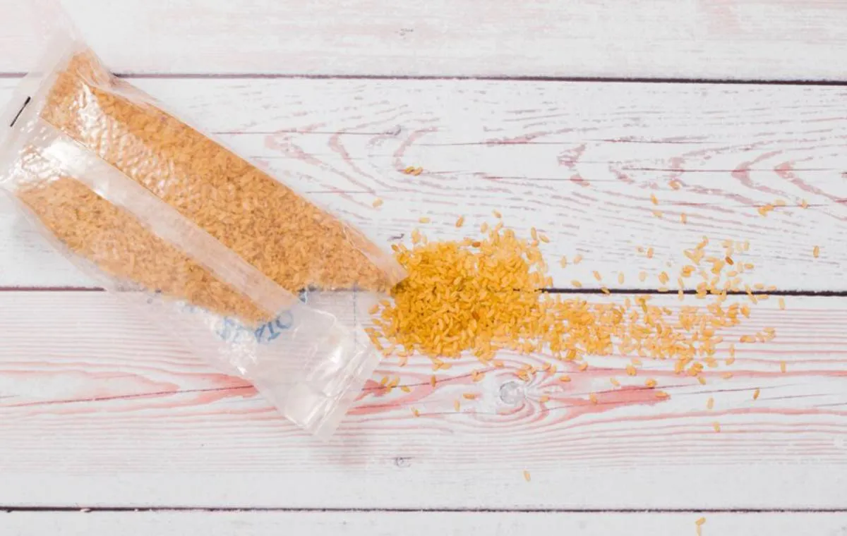 پودر جوانه گندم