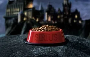 ۱۰ جانورنمای برتر دنیای هری پاتر