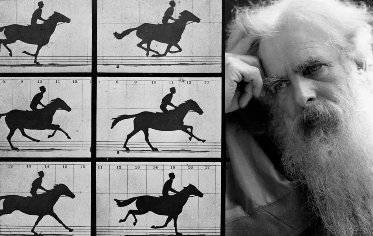 دوربین فیلمبرداری