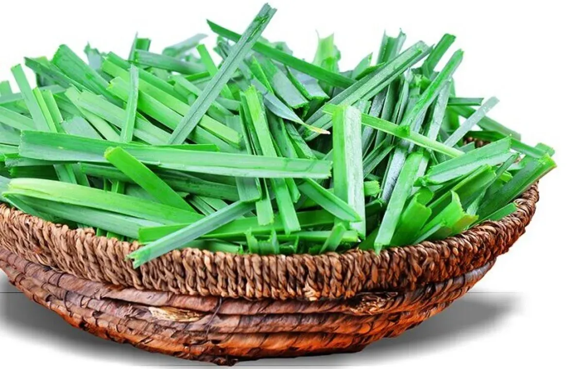 خواص تره برای مردان