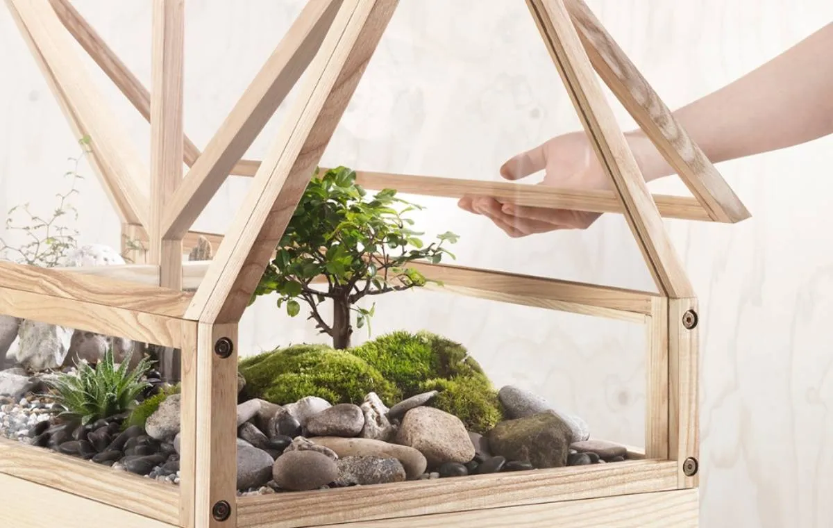 روش‌هایی برای ساخت گلخانه داخلی