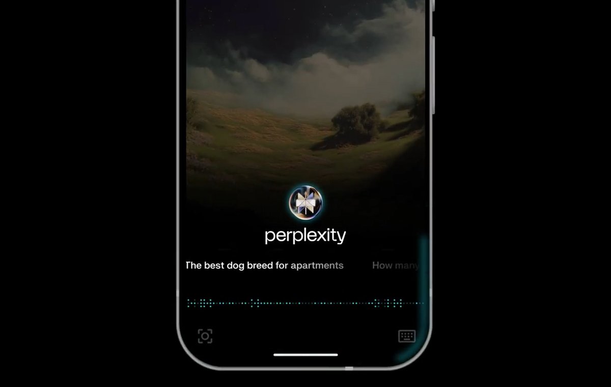 Perplexity