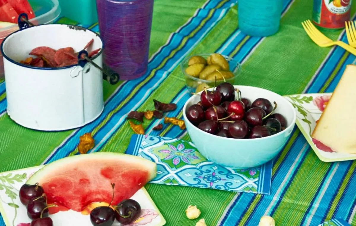 لیست وسایل مورد نیاز پیک نیک