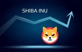 پیش بینی قیمت شیبا سال ۲۰۲۵ میلادی