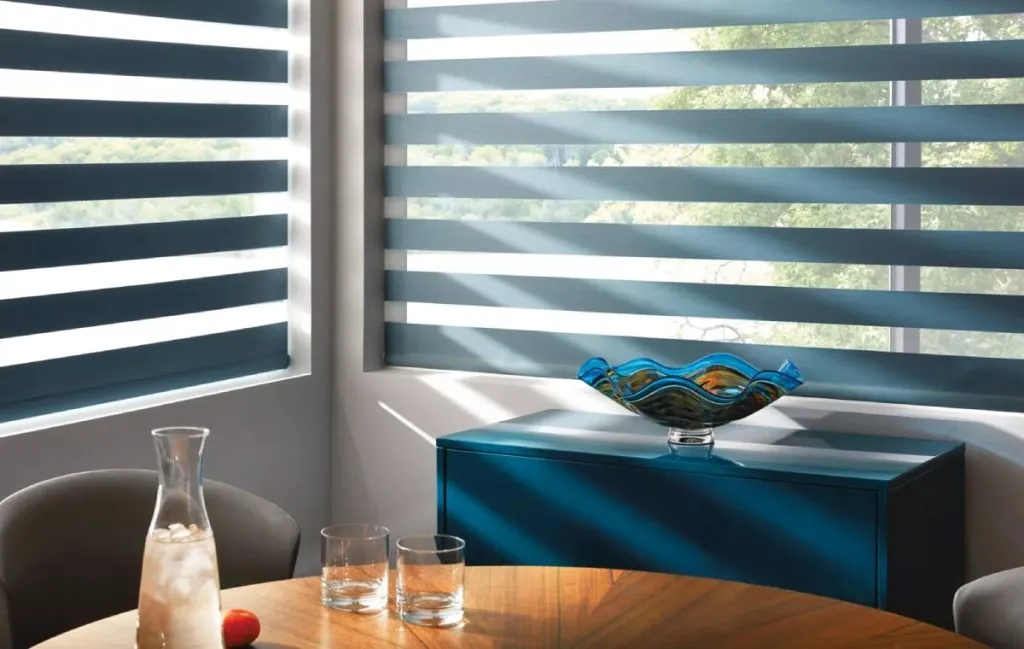 روش‌های شستن پرده زبرا