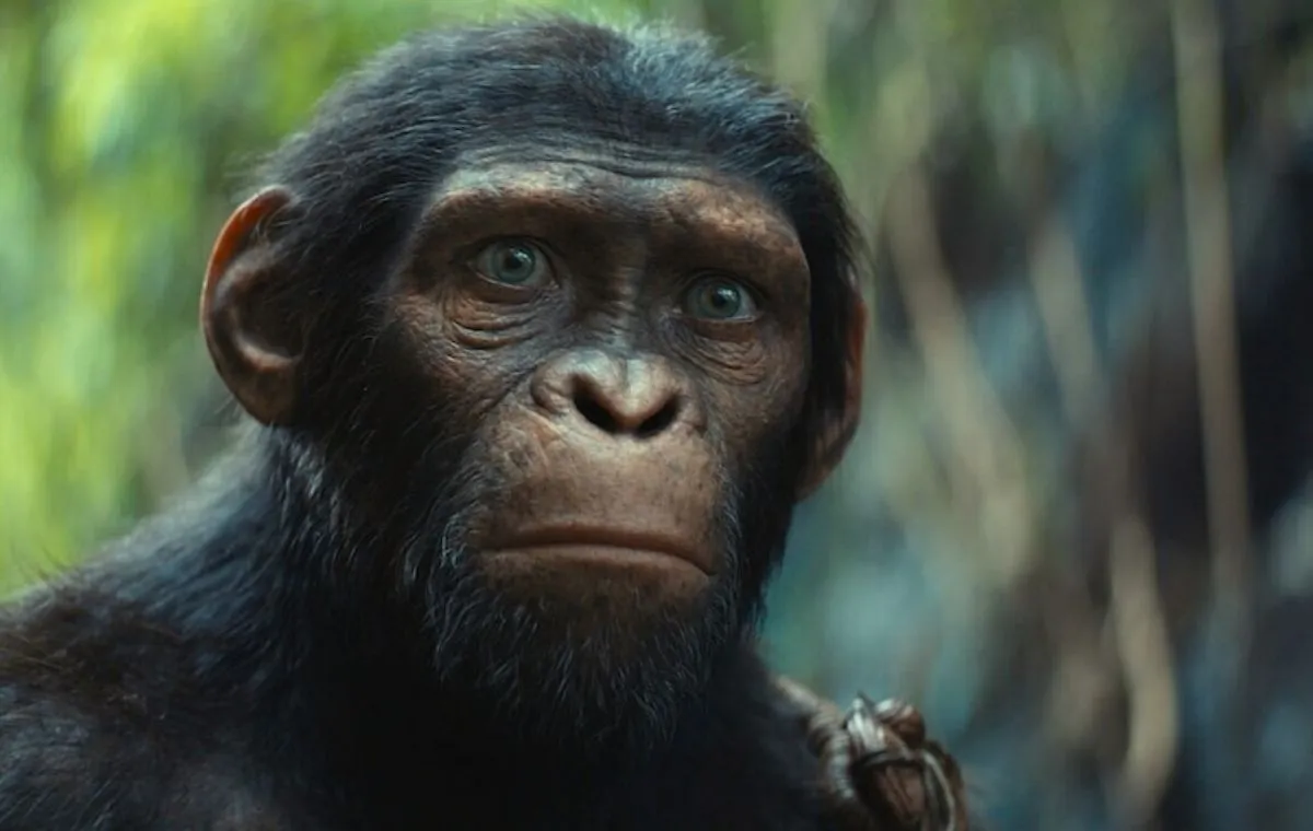 پادشاهی سیاره میمونها (Kingdom of the Planet of the Apes)