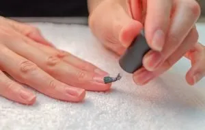 پرایمر ناخن چیست