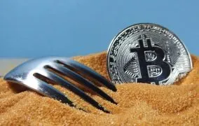 هارد فورک ارز دیجیتال
