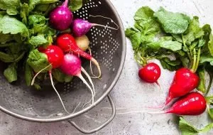 خواص تربچه قرمز