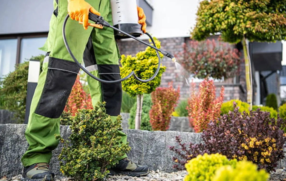 سمپاشی برای از بین بردن آفات باغچه