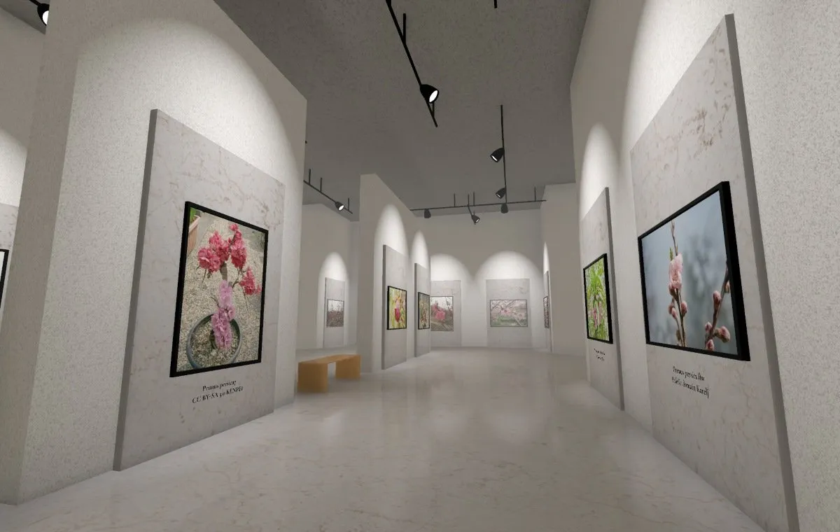 موزه‌ی ویکی‌پدیا