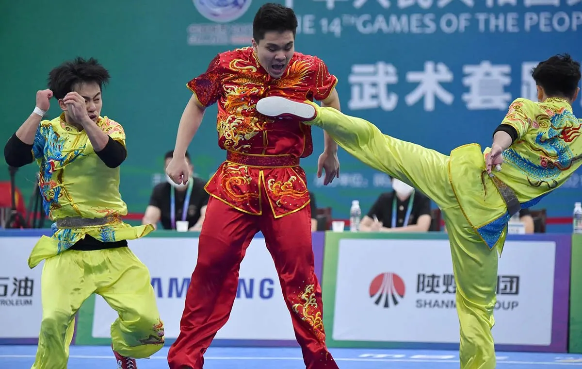 انواع سبک های ورزش ووشو