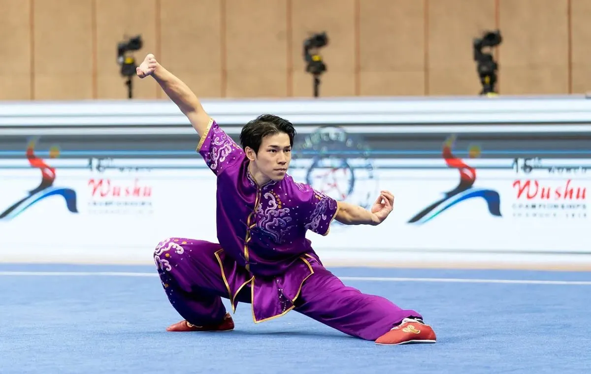 سبک های مختلف ووشو 