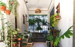 دکوراسیون بیوفیلیک؛ آشتی با طبیعت در خانه‌های مدرن