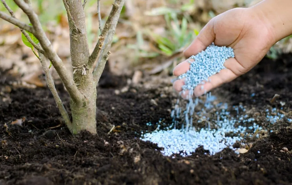 کود چیست و چرا در بهار حیاتی است؟